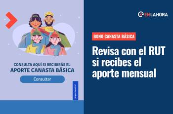 Bono Canasta Básica: Conoce cuándo es la fecha del próximo pago y consulta con tu RUT si lo recibes