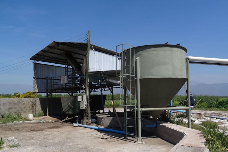 Formulan cargos contra titular del Plantel Porcino Agrícola Los Tilos.