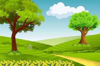 Test Visual: ¿Eres capaz de encontrar los 4 conejos escondidos en la pradera?