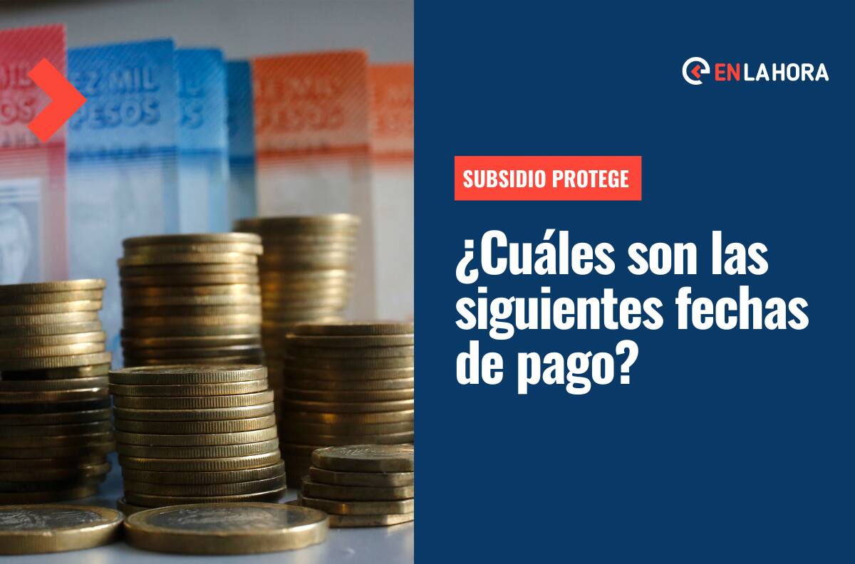 Subsidio Protege: Revisa el calendario de pagos y las siguientes fechas para postular a las $200 mil