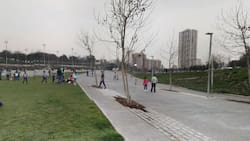 ¿Qué hacer en Santiago HOY? Increíbles panoramas para este domingo 8 de febrero