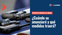 Plan de retiro de armas: Cuándo se anunciaría y qué medidas contempla