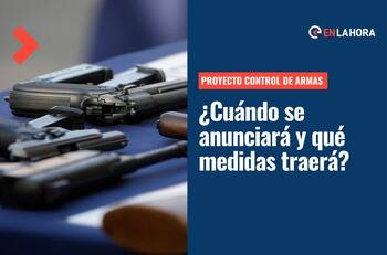 Plan de retiro de armas: Cuándo se anunciaría y qué medidas contempla