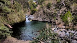 Laguna Encantada: El paraíso escondido y gratuito, ideal para capear el calor en la Región del Maule