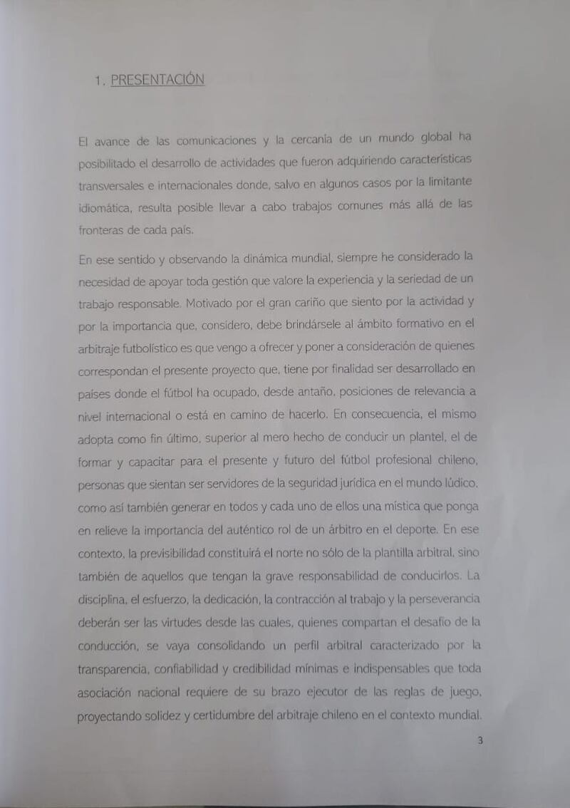 King Kong Leaks, Informe Javier Castrilli