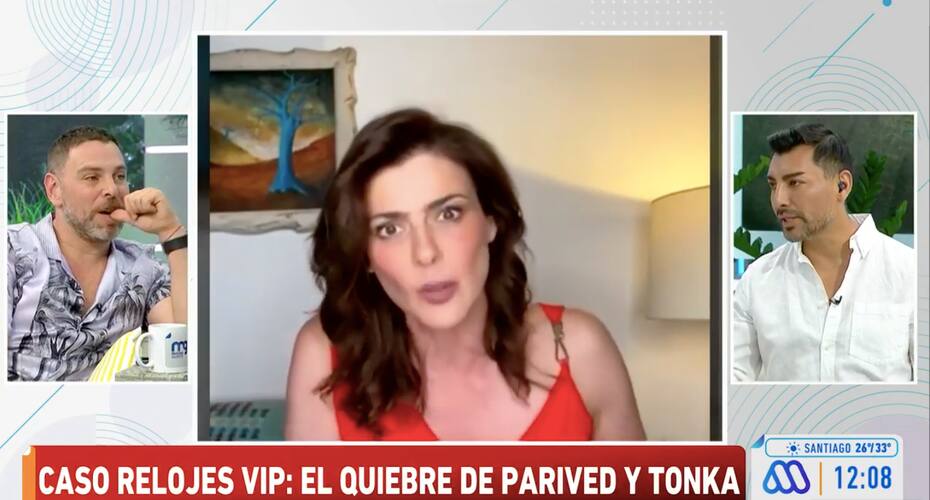 El panelista de "Mucho Gusto" hizo múltiples reflexiones sobre la polémica que involucra a Tonka Tomicic, durante el programa.