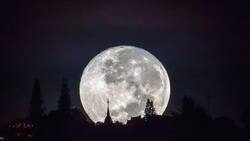 Calendario lunar de marzo: descubre cuáles son los mejores días para observar la Luna de Gusano