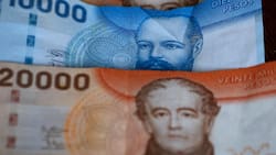 Bono Chile Apoya de Invierno: Revisa con tu RUT si tienes algún pago pendiente