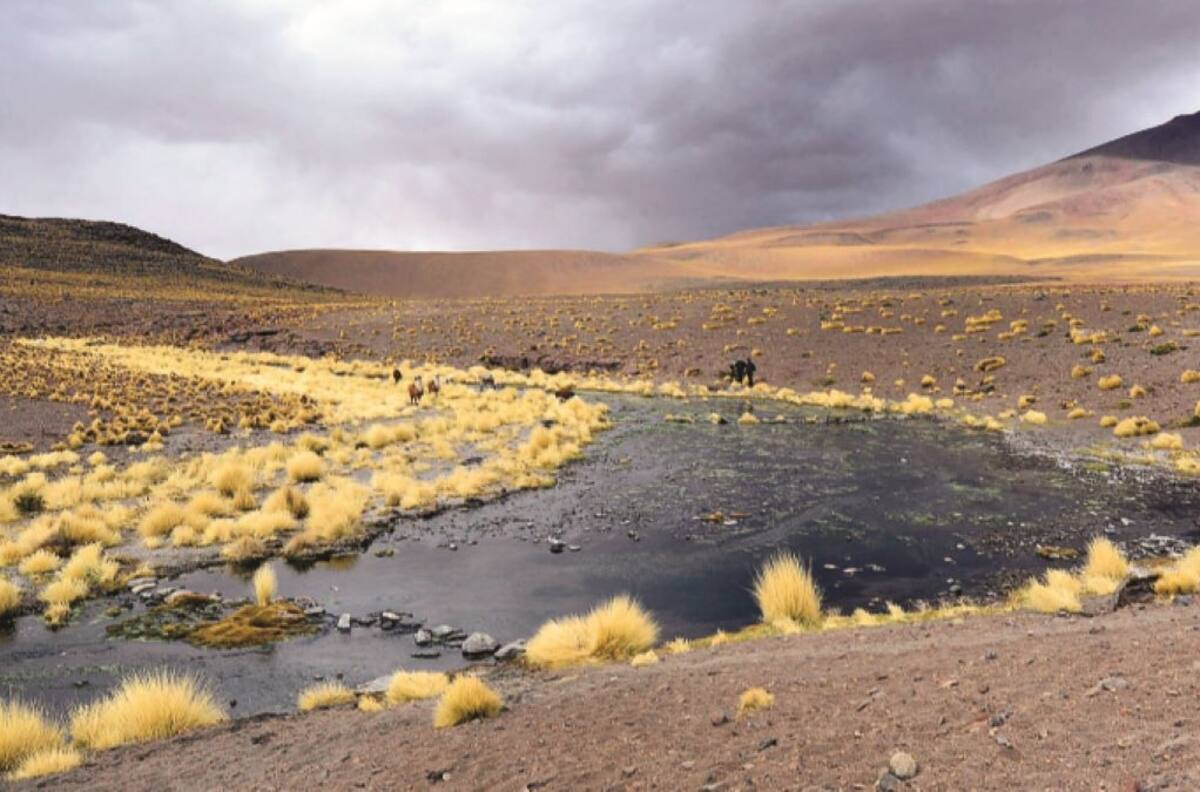 Caso Silala: ¿Cuál es el conflicto entre Chile y Bolivia por sus aguas y dónde se encuentra el río?