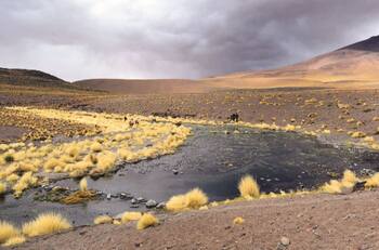 Caso Silala: ¿Cuál es el conflicto entre Chile y Bolivia por sus aguas y dónde se encuentra el río?