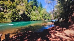 Camping económico ideal para cuidar el bolsillo: Un panorama imperdible dentro de la Región del Maule