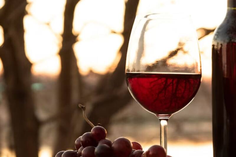 Una vendimia está dentro de las opciones gratuitas para el Día de la Madre 2023. Créditos: Freepik