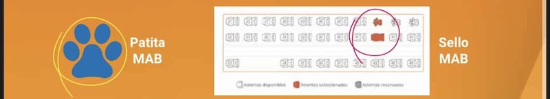 Deberás buscar este logo a la hora de comprar tu pasaje en Pullman.