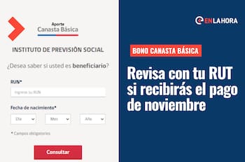 Bono Canasta Básica: ¿Cómo saber con mi RUT si lo recibo y cuál es la fecha de pago en noviembre?