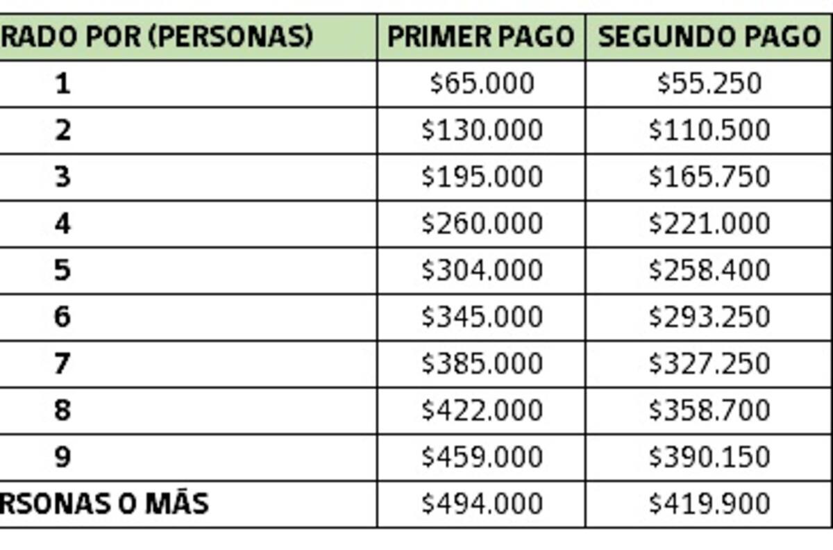 Ingreso Familiar de Emergencia: Todo lo que debes saber para postular y recibirlo