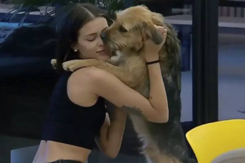 Tras un acuerdo con la producción del programa, Constanza podrá llevarse a Bigote tras el término de "Gran Hermano" Chile.