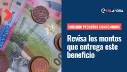 Subsidio Pequeños Condominios: ¿Qué montos entrega este aporte que permite construir hasta 12 casas en un mismo terreno?