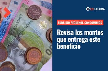 Subsidio Pequeños Condominios: ¿Qué montos entrega este aporte que permite construir hasta 12 casas en un mismo terreno?