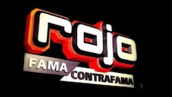 Maura Rivera, Pablo Vargas, Nelson Mauri y más: Emblemáticos integrantes de “Rojo” hicieron carrete para celebrar los 20 años del programa