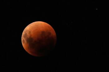 Último eclipse lunar de 2022: ¿A qué hora será y en qué lugares de Chile se verá mejor la "Luna de Sangre"?