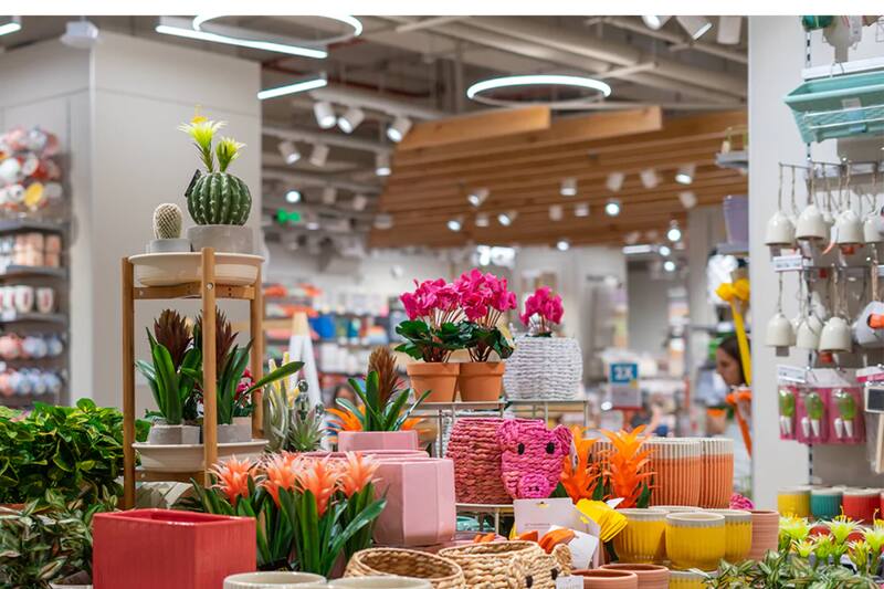 tambié tiene presencia en Perú, Colombia, México y Bolivia.