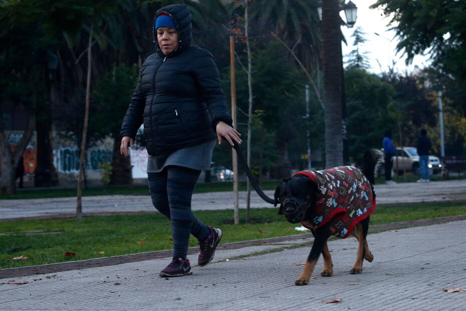 Las bajas temperaturas y los cielos nublados marcarán la pauta de este viernes a nivel nacional.