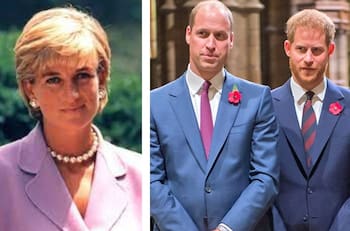 El biógrafo Princesa Diana sostiene que estaría "muy molesta" al ver la ruptura del príncipe William y el príncipe Harry