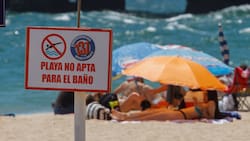 Seremi de Salud de la Región de Valparaíso prohibió el baño en playas de Algarrobo y El Quisco por fragata portuguesa