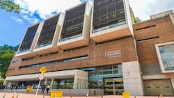 Las universidades que aseguran un mejor sueldo a los egresados de psicología según el Mineduc