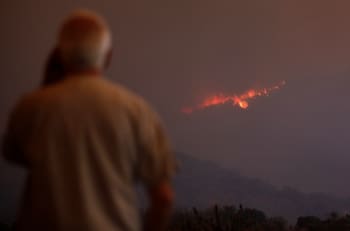 Incendios forestales Quilpué: acusaron "intencionalidad extrema" en la generación del fuego