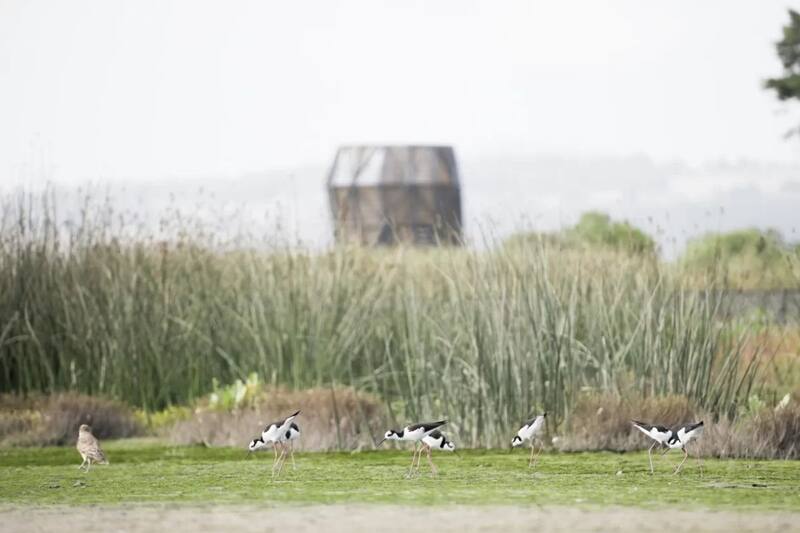 Cuenta con pasarelas, miradores panorámicos y módulos interactivos.
@ParqueHumedalRíoMaipo.