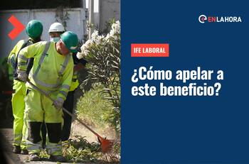 IFE Laboral: ¿Cómo postular o apelar a este beneficio que entrega entre 100 y 300 mil?