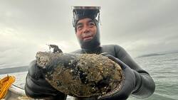 “Me lo traje a la casa y lo cocinamos”: Este fue el final del Choro más grande del mundo