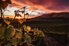 Famoso por su enoturismo, cultura y tradición: Este destino nacional a dos horas de Santiago es ideal para visitar en 2026