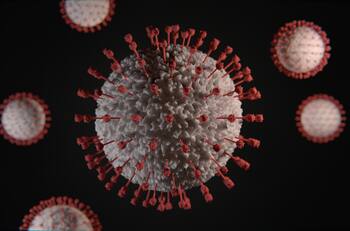Centaurus: La nueva variante de Covid-19 que es más contagiosa que Ómicron