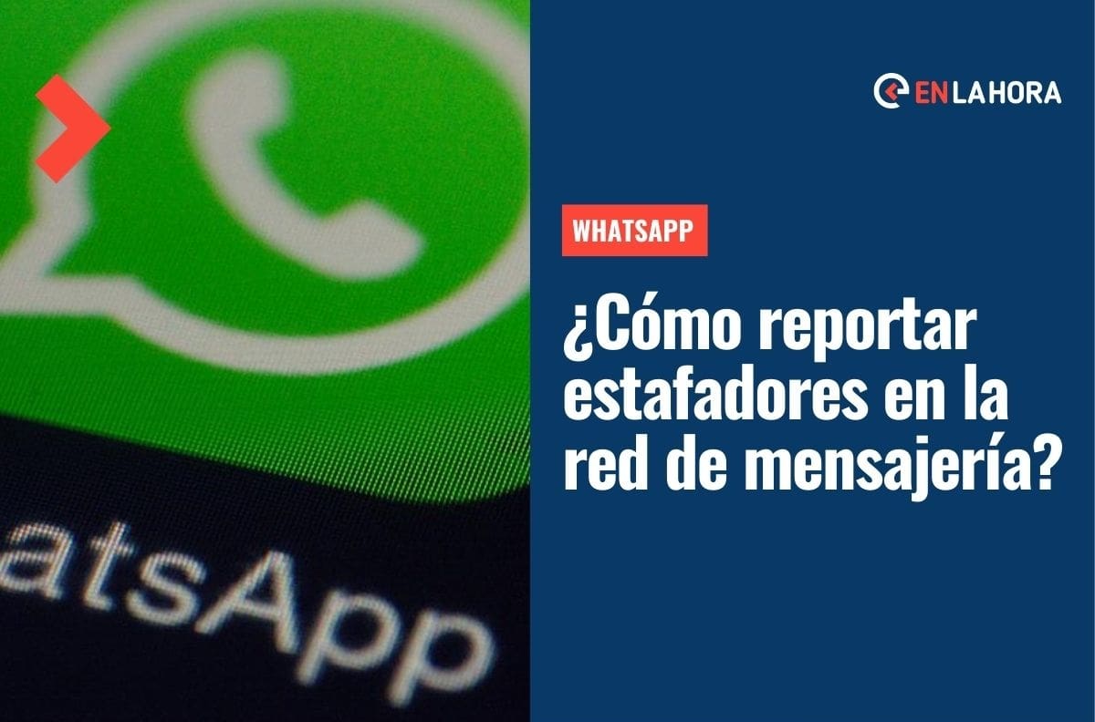 Clonación WhatsApp y nueva estafa: Revisa cómo reportar a estafadores y activar la verificación en dos pasos