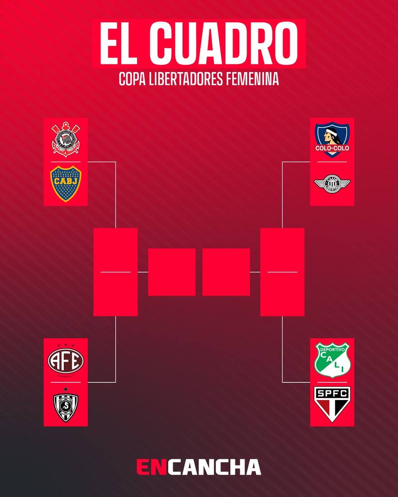 Colo Colo se metió en la ronda de los ocho mejores de América. Foto: En Cancha.