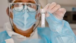 Viruela del Mono: Ministerio de Salud confirma el segundo caso de esta enfermedad en chile