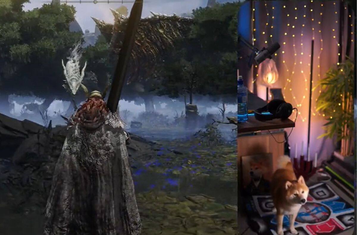 VIDEO | Conoce a Yoshi: El perrito que juega Elden Ring mejor que tú