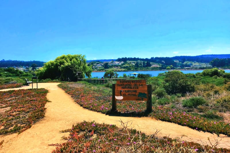 El mejor espacio para pasear lejos del bullicio citadino. Créditos: Google Maps.