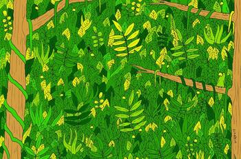 Reto Visual: ¿Puedes encontrar la serpiente oculta dentro de la selva en menos de un minuto?