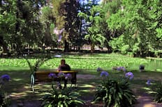 El pulmón verde escondido de la Región Metropolitana: tiene laguna y es con entrada gratuita