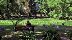 El pulmón verde escondido de la Región Metropolitana: tiene laguna y es con entrada gratuita