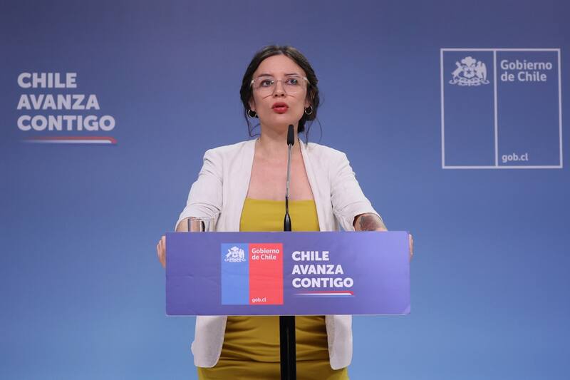 La ministra entregó la razón por la que se dio a conocer la denuncia este lunes.