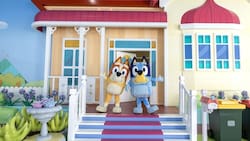 La Casa de Bluey en Chile: aprovecha un 15% de descuento en las entradas del evento apto para toda la familia