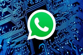 WhatsApp: ¿Cómo ocultar tu nombre en la aplicación?