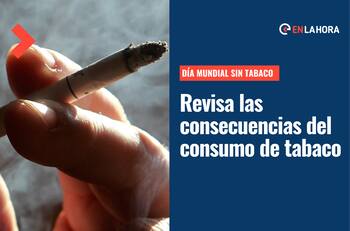 Día Mundial Sin Tabaco: ¿Cuáles son las consecuencias de su consumo en nuestro entorno?