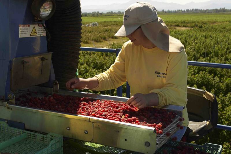 La empresa casi terminó en quiebra por las malas prácticas de algunos extrabajadores de la compañía.