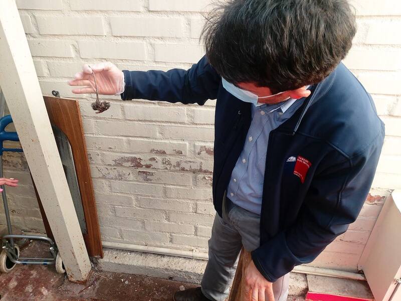 Hasta ratones muertos se encontraron en dependencias del hogar de adultos mayores clausurado en San Miguel. (Foto: Seremi Salud RM)