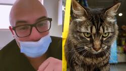 VIDEO | Denuncian a médico de San Bernardo por fomentar el abandono de gatos: Se inició sumario en su contra